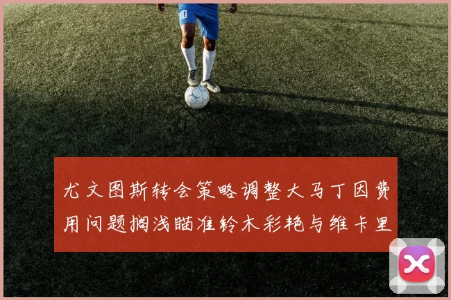 尤文图斯转会策略调整大马丁因费用问题搁浅瞄准铃木彩艳与维卡里奥